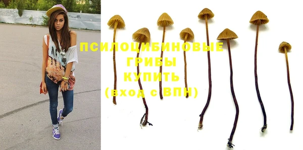 apvp Абдулино
