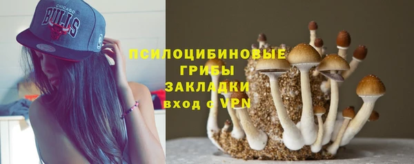 ECSTASY Абаза