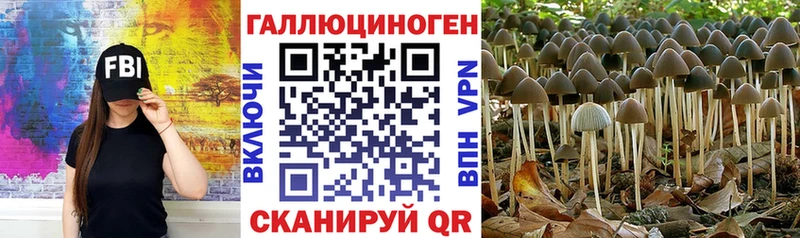 Галлюциногенные грибы мицелий Камышлов