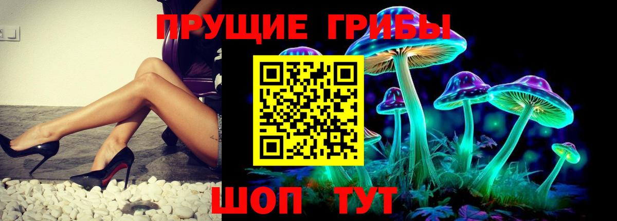 Галлюциногенные грибы Magic Shrooms Камышлов