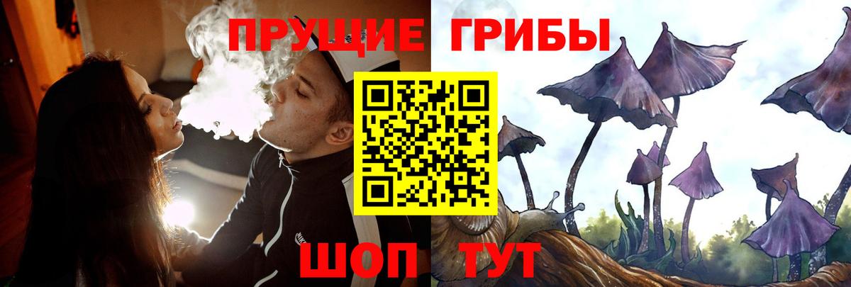 Галлюциногенные грибы Psilocybine cubensis  Вход с VPN  Камышлов 